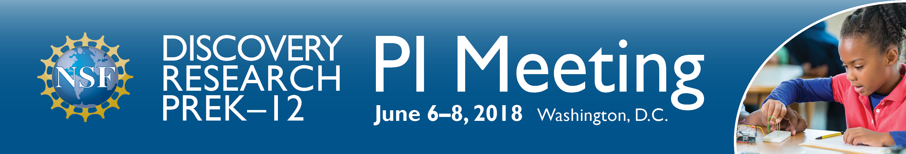 PI Meeting Banner