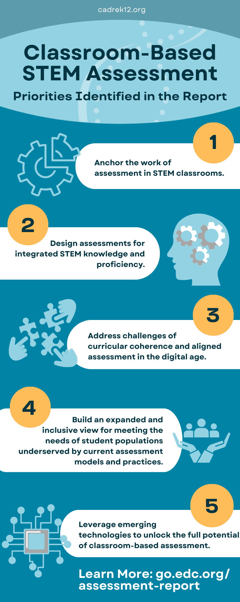 Assessment report infographic