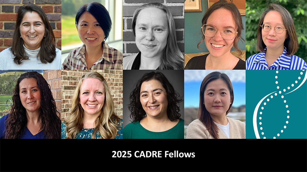 Photos of 2025 Fellows Cohort