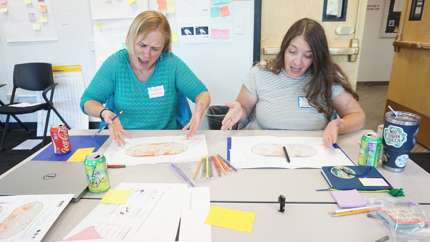 Project participants